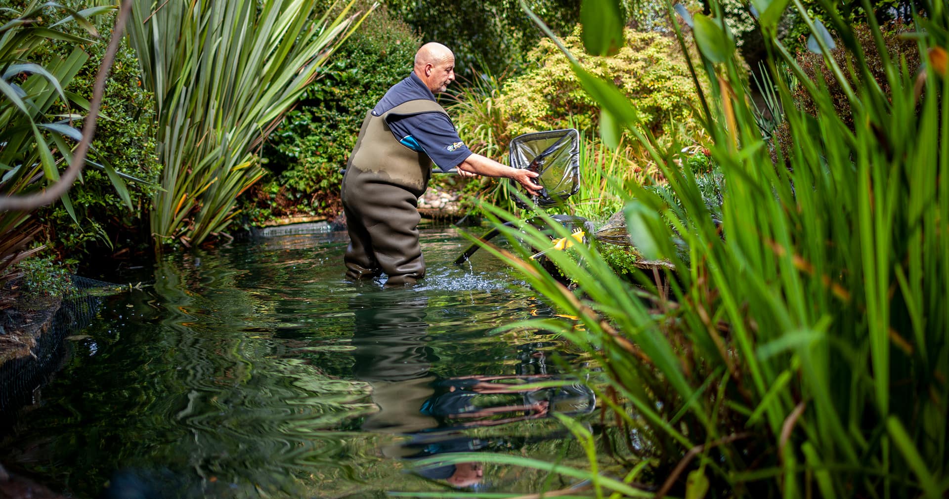 5 Tips To Best Prepare Your Pond for Autumn Garden Pond Experts